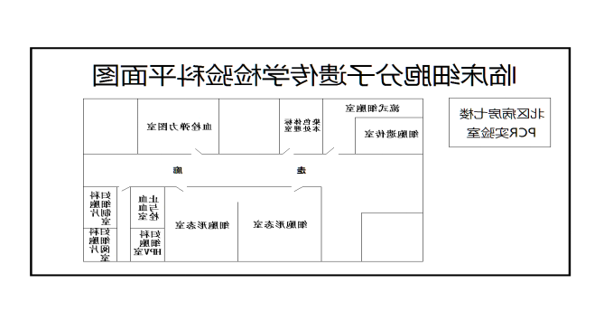 细胞图片4.png